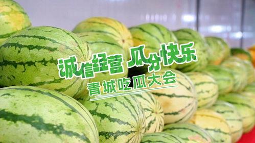 吃瓜大会,揭秘娱乐圈幕后故事与热点事件